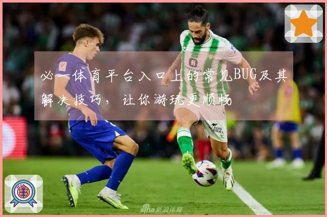 必一体育平台入口上的常见BUG及其解决技巧，让你游玩更顺畅