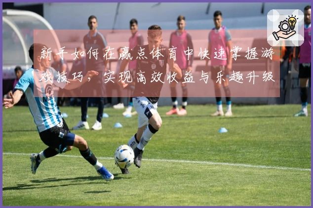 新手如何在赢点体育中快速掌握游戏技巧，实现高效收益与乐趣升级