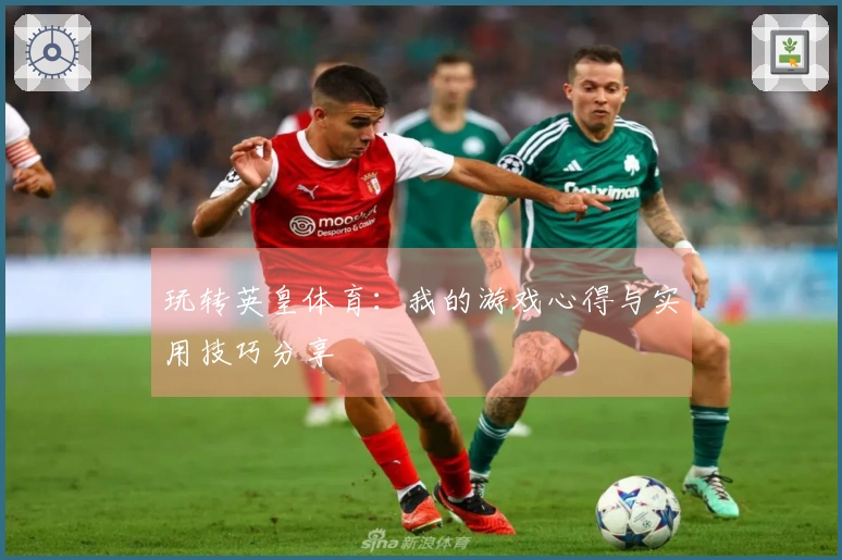 玩转英皇体育：我的游戏心得与实用技巧分享
