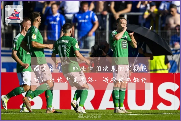 赢点体育：那些血泪换来的实战技巧，让你少走弯路，游戏收益翻倍！