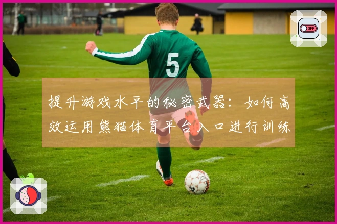 提升游戏水平的秘密武器：如何高效运用熊猫体育平台入口进行训练与技巧提升