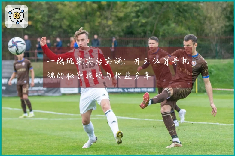 一线玩家实话实说：开云体育手机端的秘密技巧与收益分享
