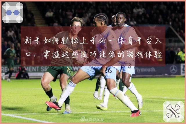 新手如何轻松上手必一体育平台入口，掌握这些技巧让你的游戏体验更精彩