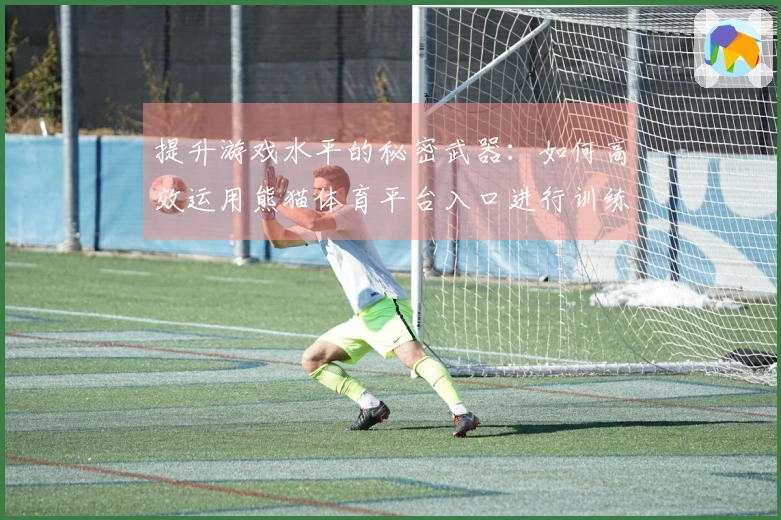 提升游戏水平的秘密武器：如何高效运用熊猫体育平台入口进行训练与技巧提升