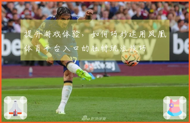 提升游戏体验，如何巧妙运用凤凰体育平台入口的独特玩法技巧